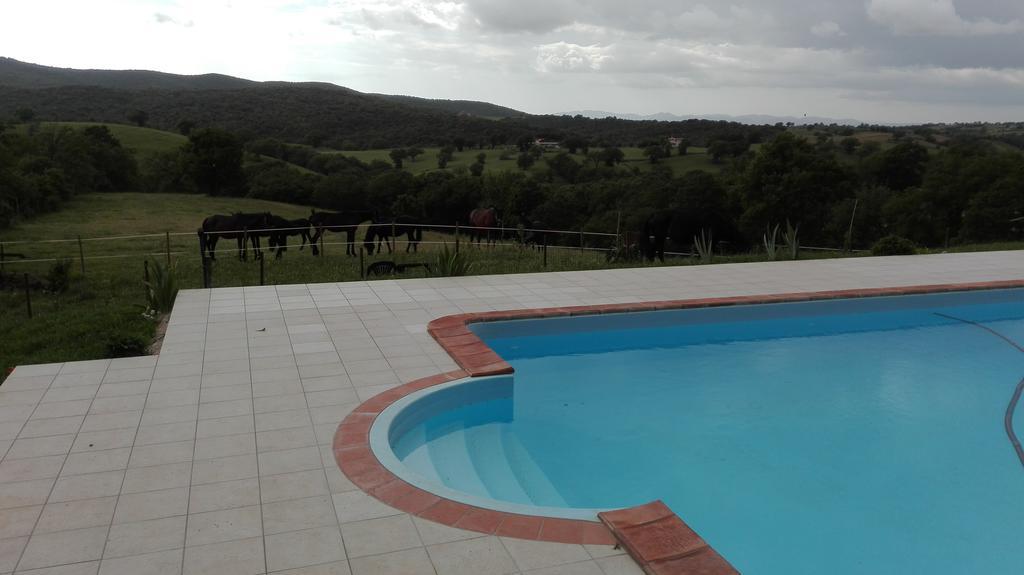 Agriturismo Collelungo Di Maremma Diaccialone 외부 사진