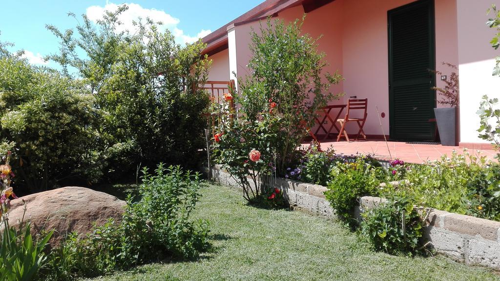 Agriturismo Collelungo Di Maremma Diaccialone 외부 사진