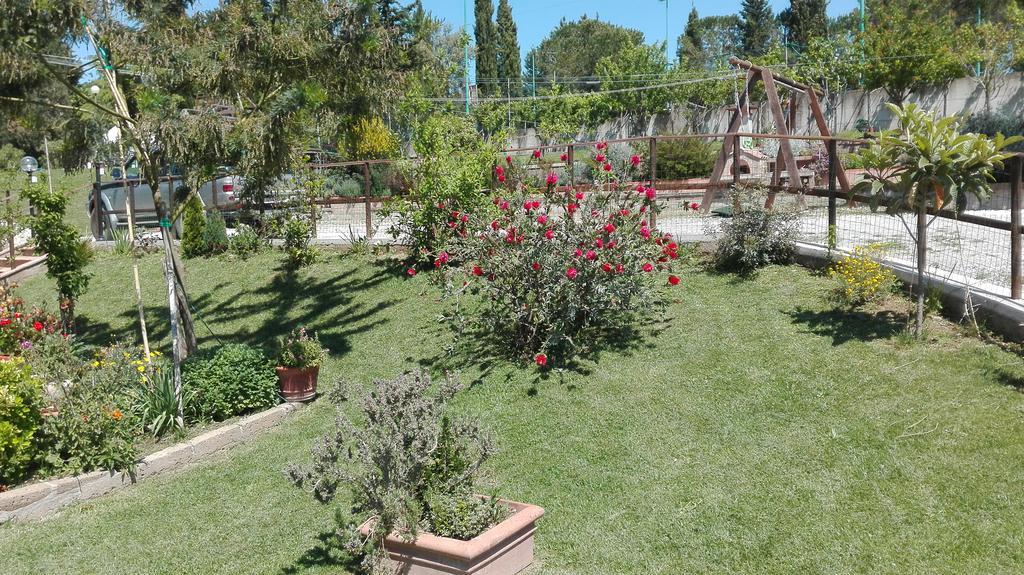 Agriturismo Collelungo Di Maremma Diaccialone 외부 사진