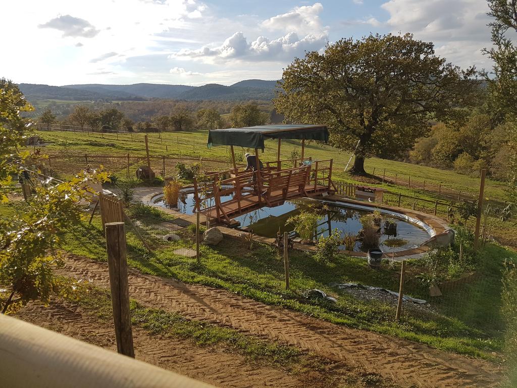 Agriturismo Collelungo Di Maremma Diaccialone 외부 사진