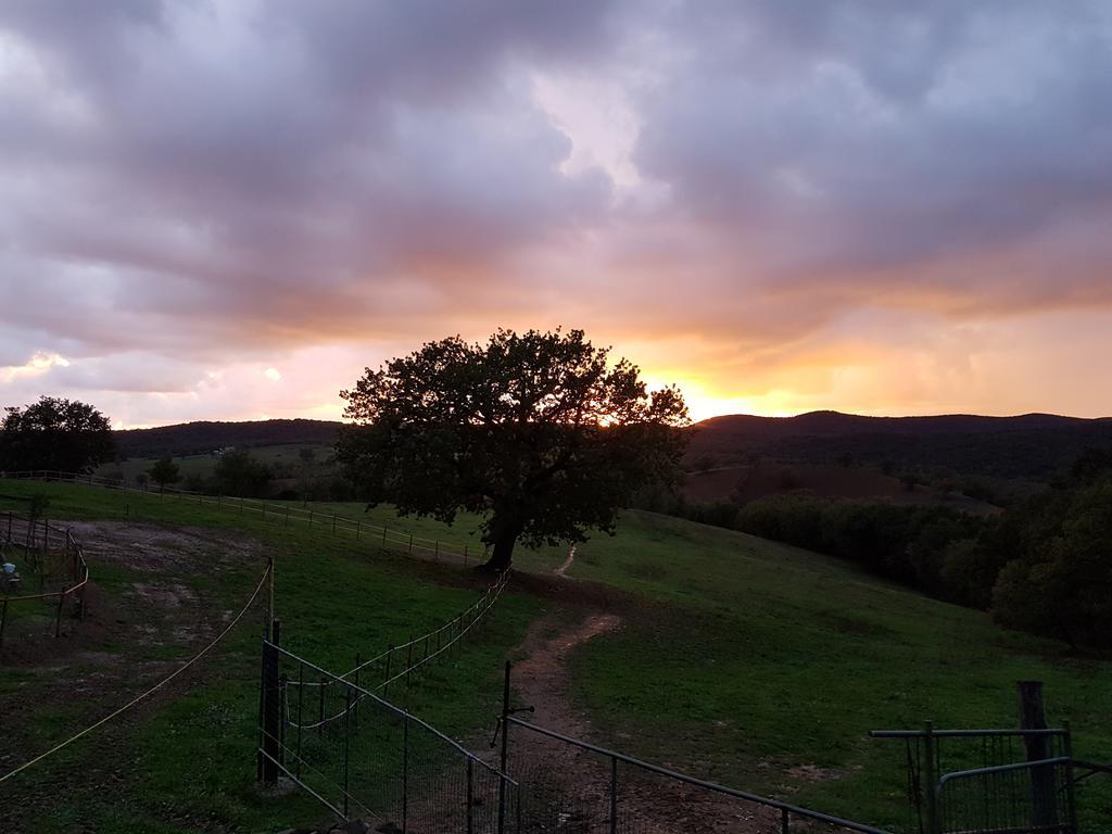 Agriturismo Collelungo Di Maremma Diaccialone 외부 사진