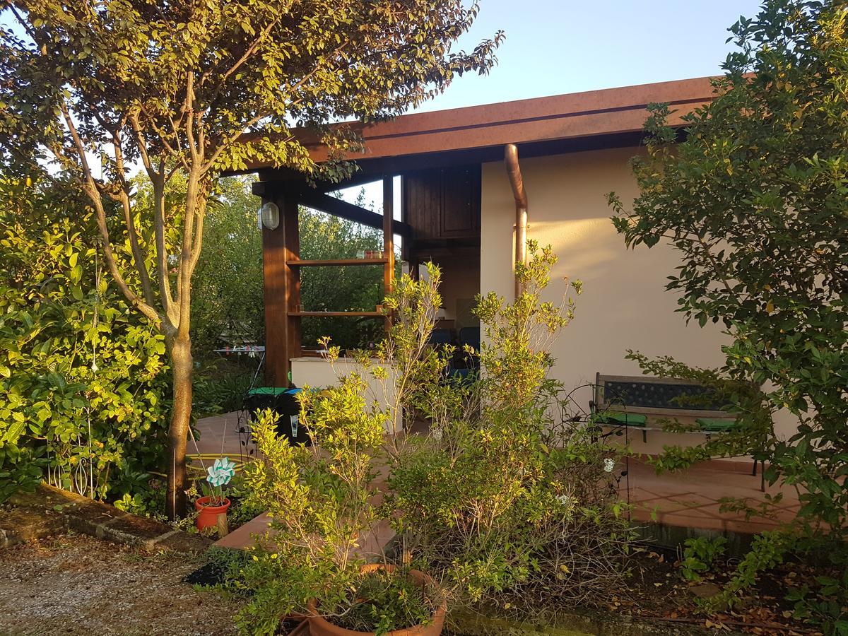 Agriturismo Collelungo Di Maremma Diaccialone 외부 사진