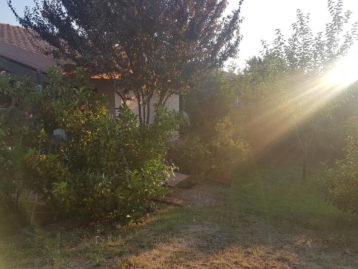 Agriturismo Collelungo Di Maremma Diaccialone 외부 사진
